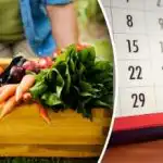 Aby vše rostlo: "zlaté" termíny výsadby v květnu podle lunárního