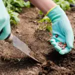 Duben a květen v zeleninové zahradě: 12 plodin, které je