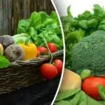 Jak nepřijít o úrodu: zahrádkáři varováni, co nesázet ze semen