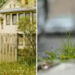 Jak zalévat plevel podél plotu: do druhého dne zmizí