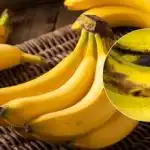 Jak zastavit dozrávání banánů během několika sekund: jednoduchý trik se