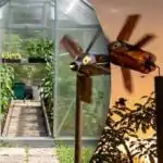 Jedno zařízení proti špačkům a krtkům: jednoduché řešení pro váš