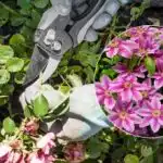 Které rostliny je třeba v dubnu prořezat: zahradník jmenoval 5