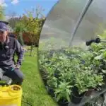 Noční "mínusy" nejsou hrozné - jak chránit rostliny před mrazem