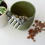 Odborníci vyvrátili oblíbený mýtus: kameny na dně květináče mohou zničit