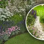 Plevel vám zmizí před očima: chytrý trik udělá na zahradě