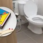 Proč mít krabičku od sirek za záchodem: tento trik řeší