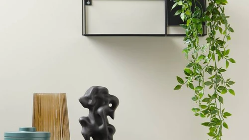 Jak přidat barvu do bytu: výběr správných vycpaných rostlin