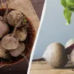 Tato řepa je lepší než všechny moderní hybridy: farmář pojmenoval