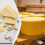 Tvrdý sýr už nekupuji v obchodě: udělám si ho sám