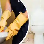 Záchodová mísa bude opět zářit, pokud na ni nanesete jednoduchou